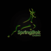 Springbok Casino Review